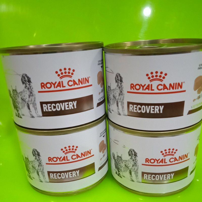 Royal Canin Veterinary Recovery 195gr | RC Recovery Kaleng 195gr