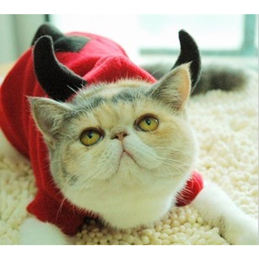 ★〓YUFeiPet〓★ Halloween Pet Transformation Costume Dog Fall Winter Warm Clothes Pet Little Devil Party Costume