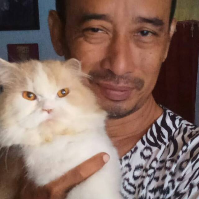 krishna_setiawan