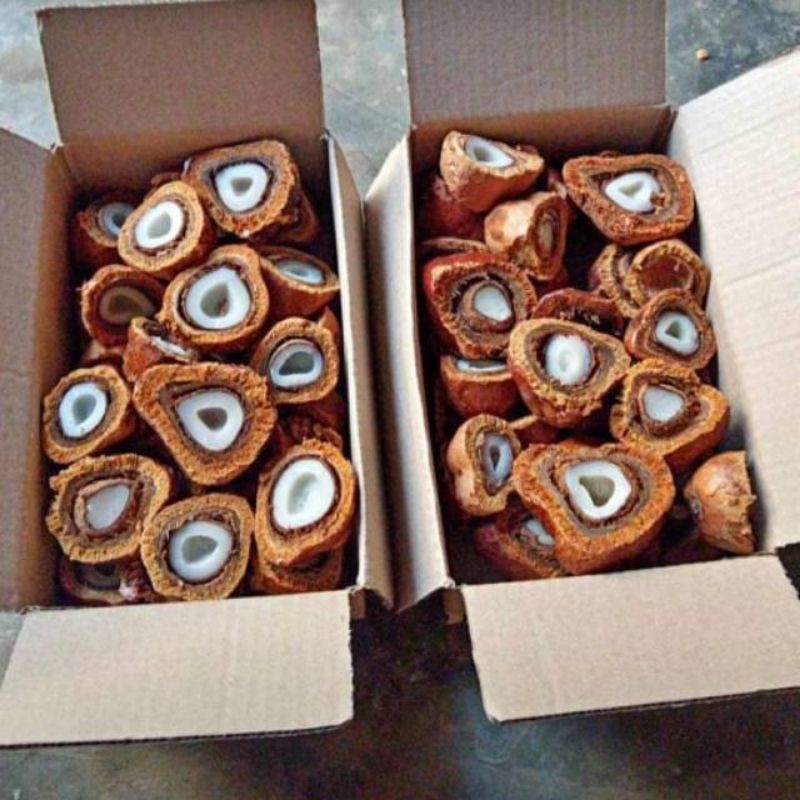 Zuriat Mesir Belah 1 Kg Promil / Buah Zuriat / Promil Suami Istri