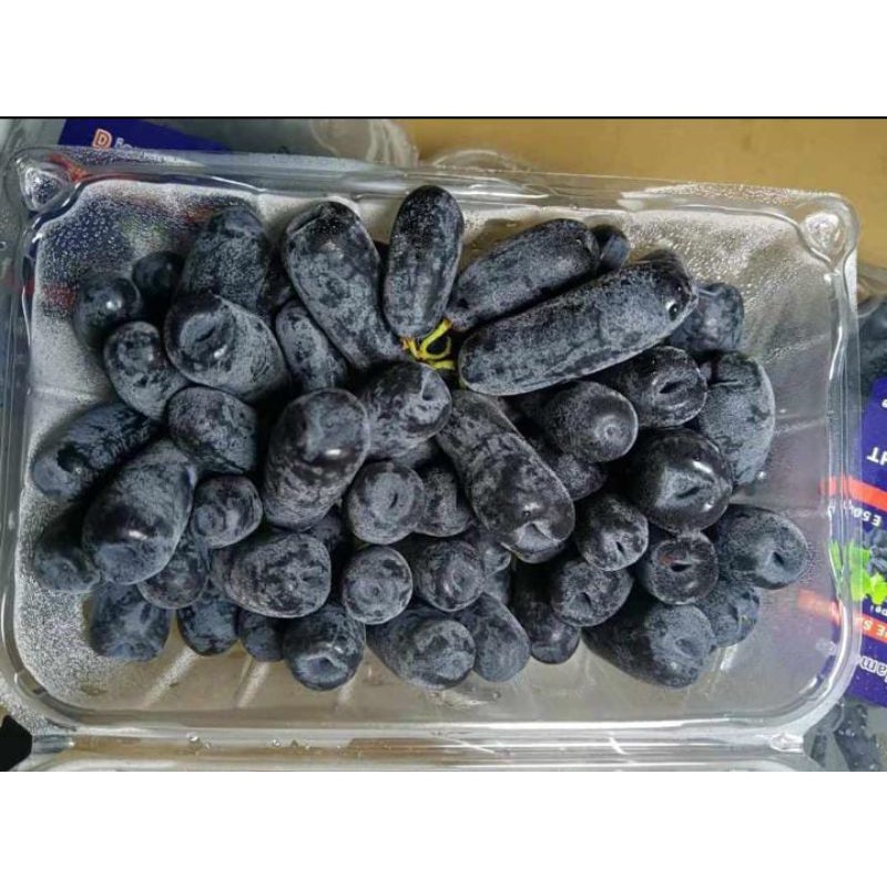 

BUAH ANGGUR SWEET SAPPHIRE/ ANGGUR MOONDROOP USA SEEDLESS