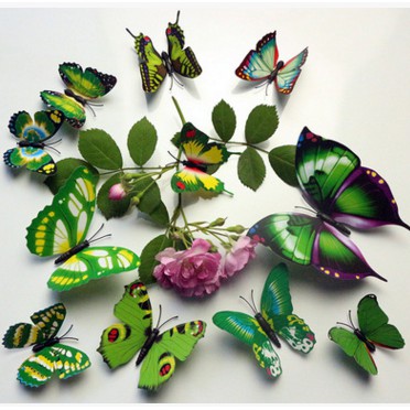 hiasan dinding wallstiker magnet kupu 3D