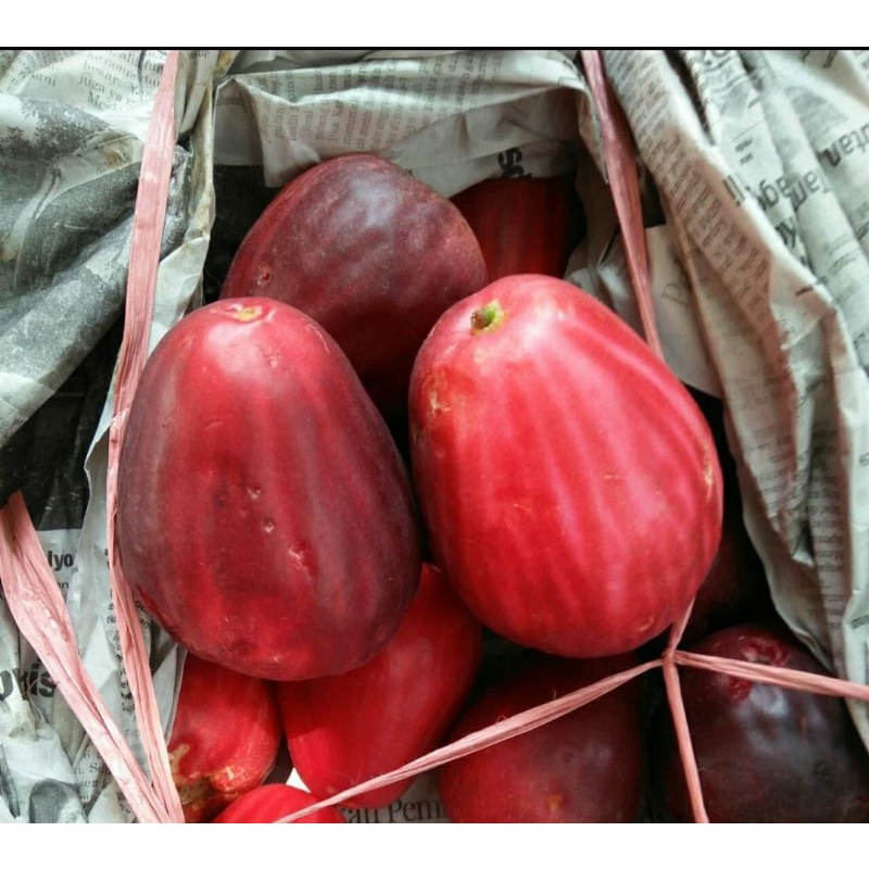 

buah jambu Jamaika/ jambu bol 1kg