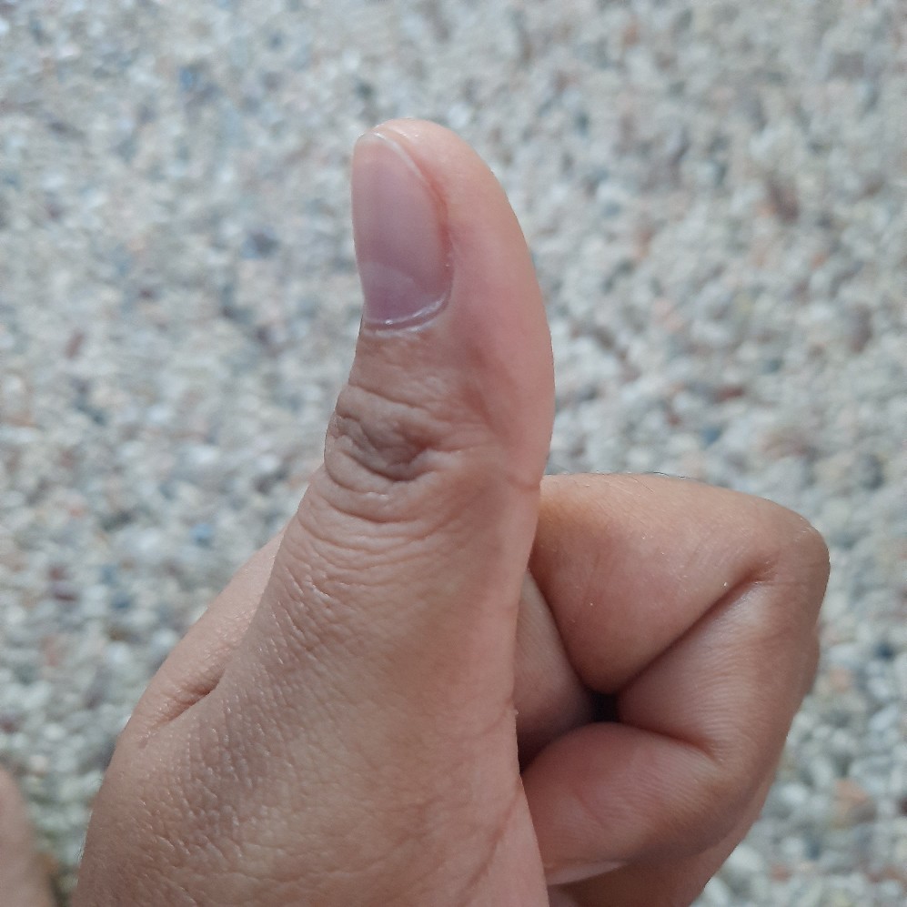 Sikat Nagata - 836 Serbaguna  Kelembutan Bulu Medium