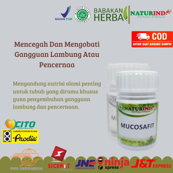 

Naturindo Mucosafit Herbal Pencernaan Obat Maag dan Asam Lambung Obat Maag Herbal Magastrol