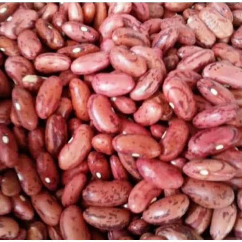 

Kacang Jogo Merah 250 gram