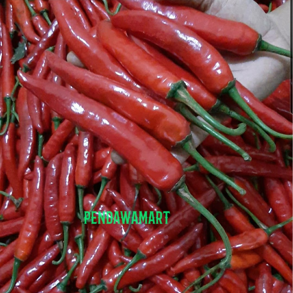 

Cabe Besar Merah Atau Hijau