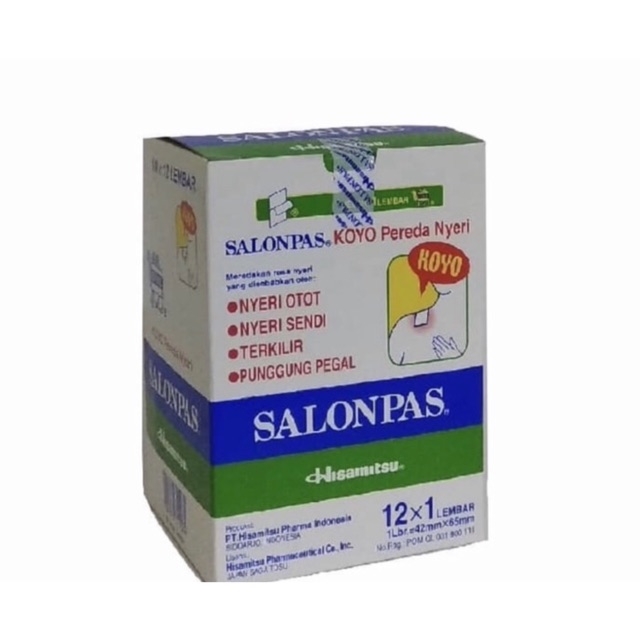 Salonpas koyo ( 1 sack isi 12 lembar )