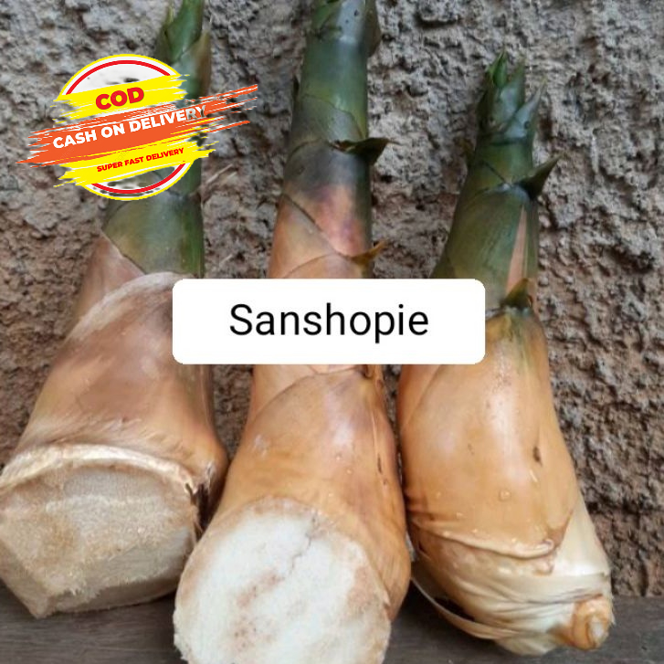 

Rebung bambu kuning segar paket per 1 kg