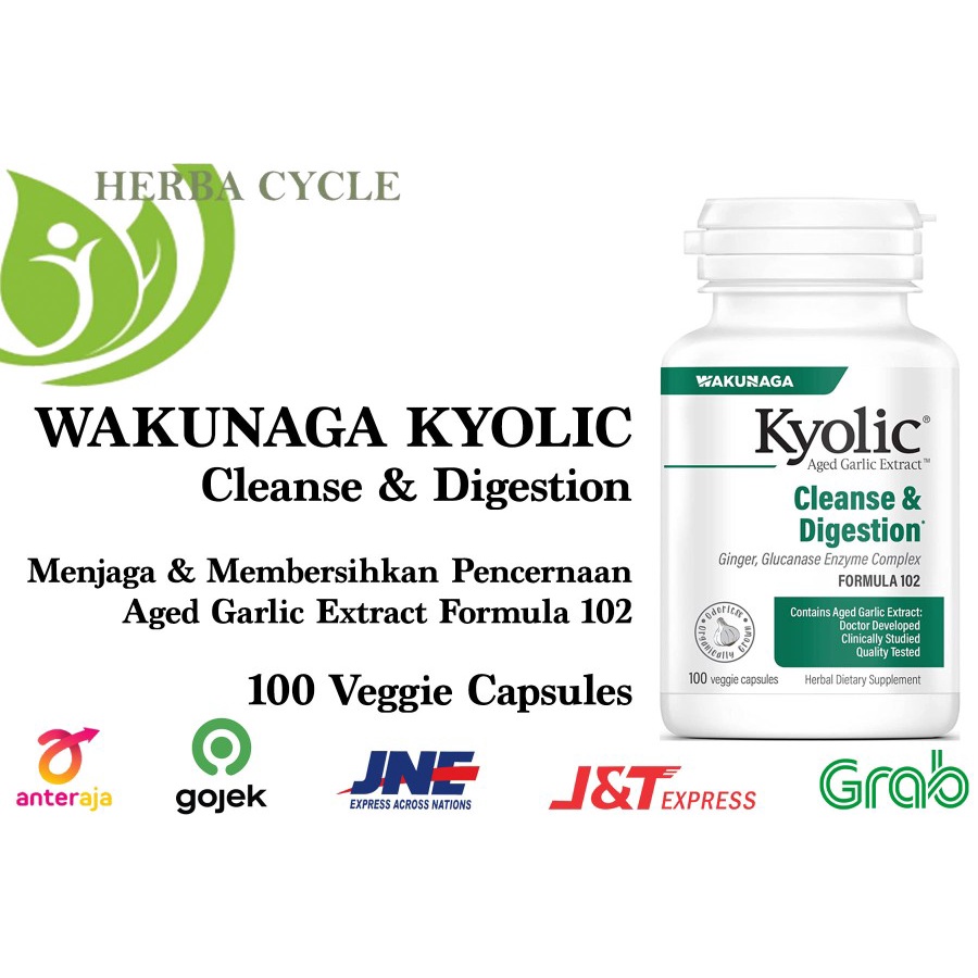 Kyolic Garlic Extract Candida Cleanse Digestion 100 Veggie Capsules Cuci Usus