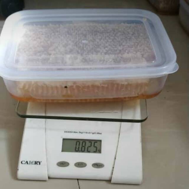 

MADU SARANG MELLIFERA 600gr FREE BUBLE WRAB & SENDOK KAYU