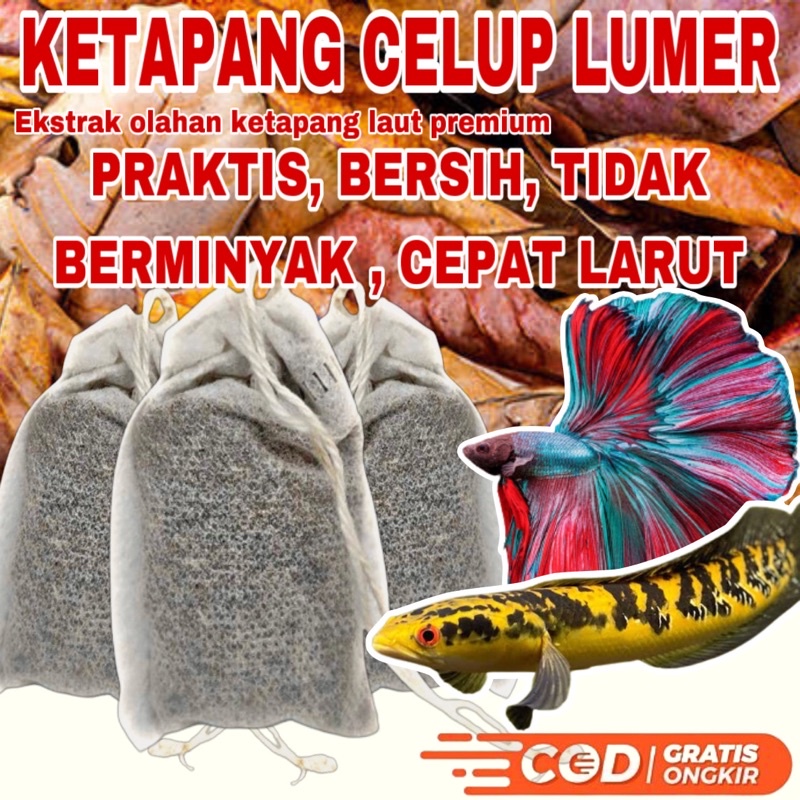 EKSTRAK DAUN KETAPANG LAUT OLAHAN LUMER KEMASAN MANTONG KETAPANG CELUP PREMIUM UNTUK CHANA CHANNA MA