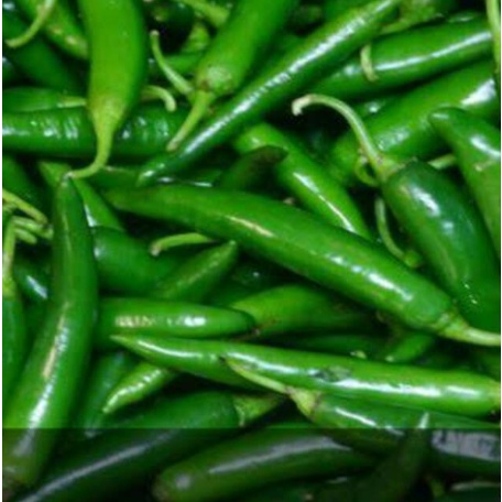 

Cabe / Cabai Hijau Besar Segar 1kg