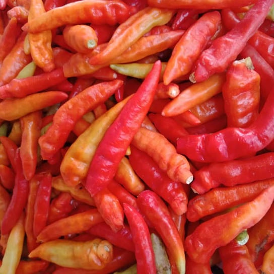 

cabai rawit merah 250 gram cabe