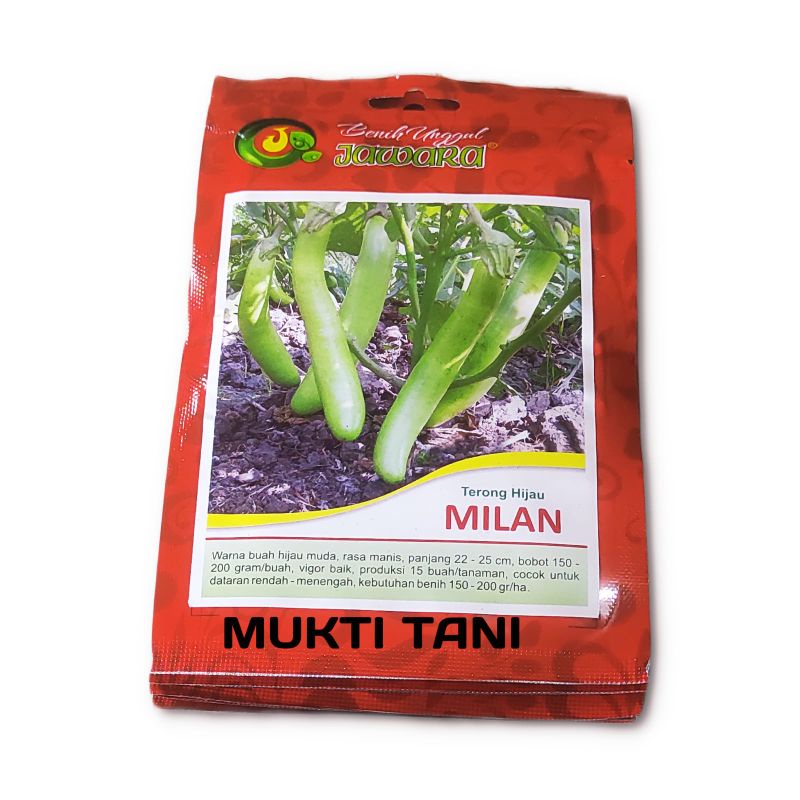 Benih Terong Hijau Milan 10 gram Benih Jawara