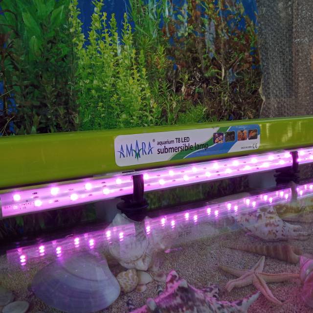 Lampu tanning View Spesial Red Arwana 1meter Amara Led T8-AA-1000 12 watt Double Row