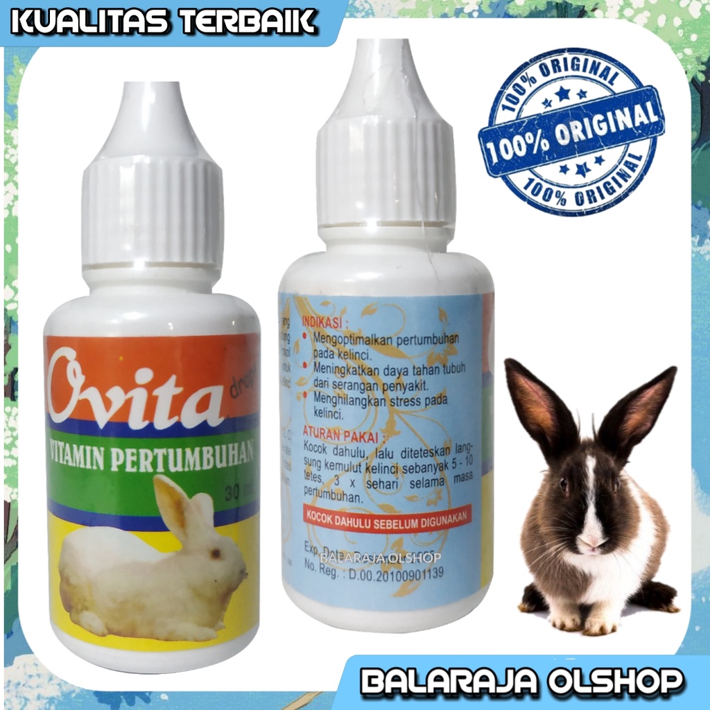 VITAMIN PENAMBAH NAFSU MAKAN DAN PERTUMBUHAN KELINCI - OVITA 30 ML