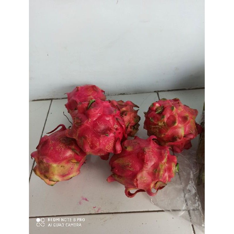 

Buah Naga