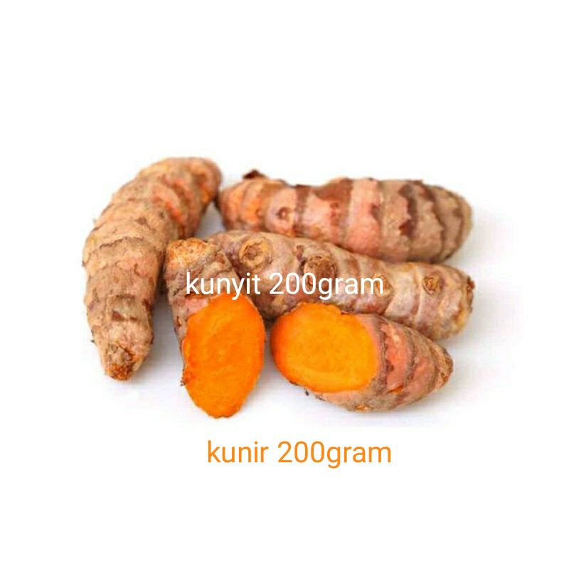 

Kunyit kunir herbal segar fresh