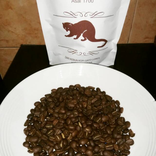 

100% Kopi Luwak liar Gayo asli yg sudah diroasting dengan sertifikat