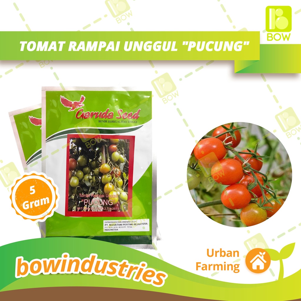 Benih Bibit Tanaman Sayuran Tomat rampai "PUCUNG" GARUDA SEED 5 GR BPD
