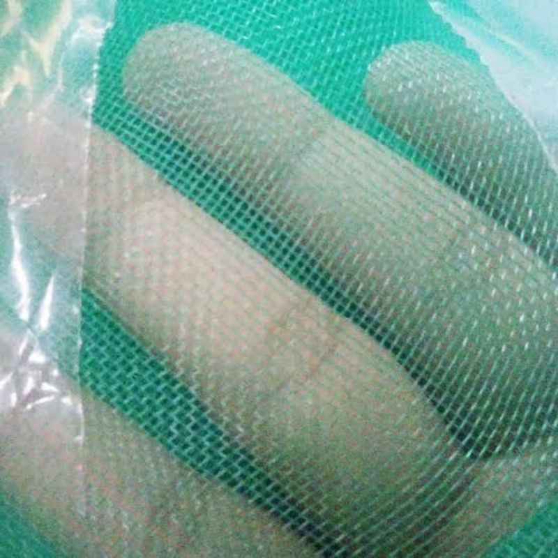 Jaring Hijau Untuk Kandang Lalat BSF