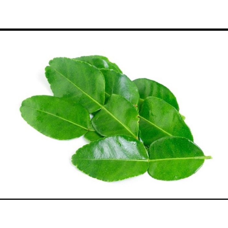 

Daun Jeruk Bumbu Masak Bumbu Dapur Penyedap Rasa