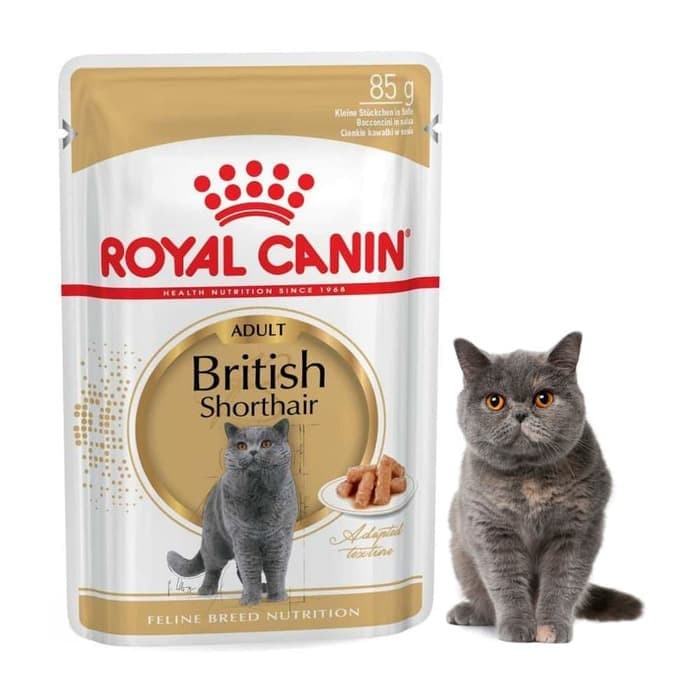 Royal Canin British Shorthair Adult Pouch 85gr - Makanan Basah Kucing Dewasa Ras British Shorthair