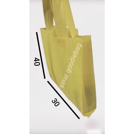 

Tas spunbond 30 x 40 HLS isi 12pcs