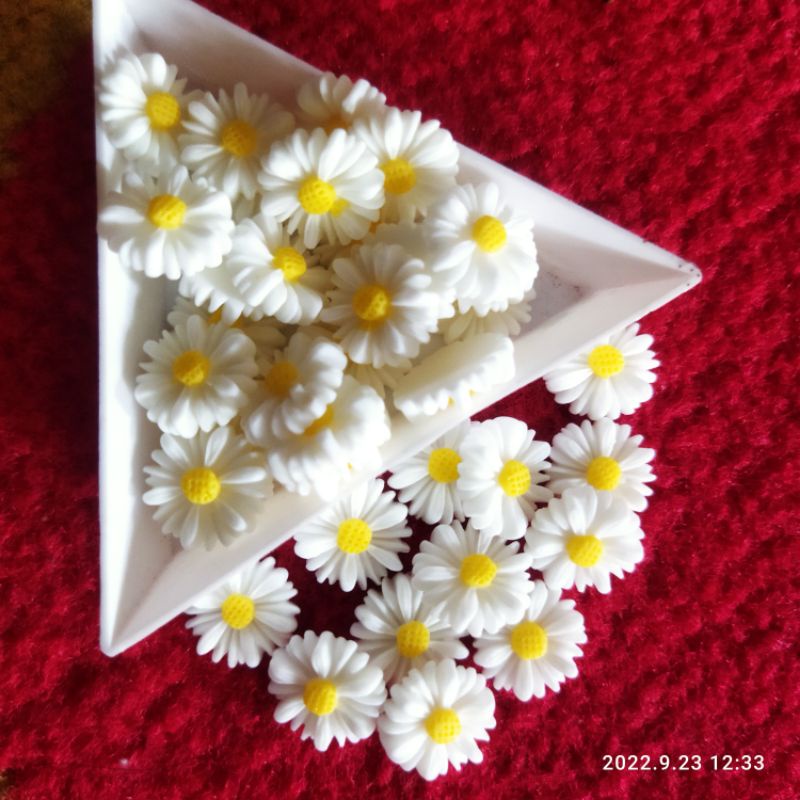 10 pcs bunga daisy cantiik