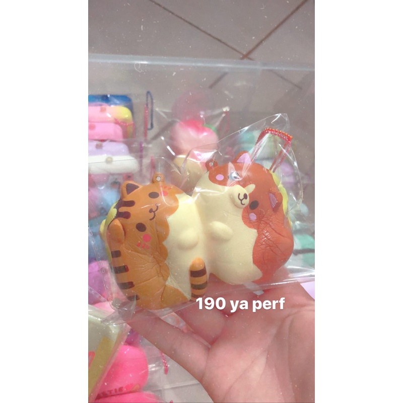 ibloom cat and dog sharebread