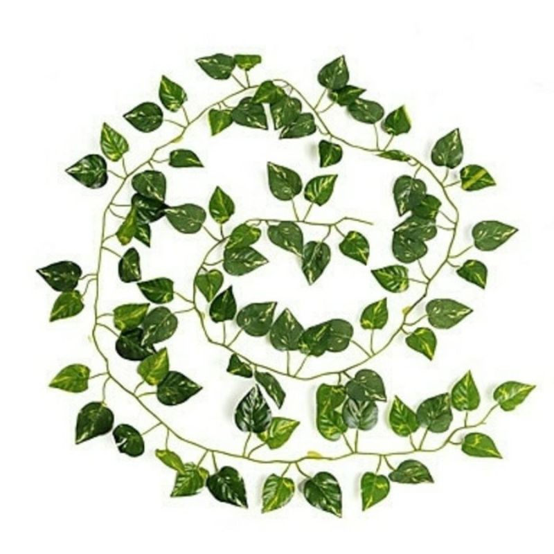 DAUN PLASTIK SRIGADING KECIL/DAUN RAMBAT DAUN HIAS DAUN JULUR DAUN DEKORASI TANAMAN HIAS HIASAN