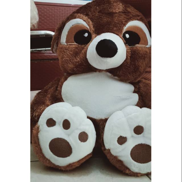 Boneka musang