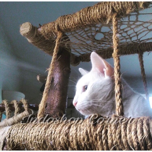 CAT CONDO TALI garukan kucing Serat original 6 mm