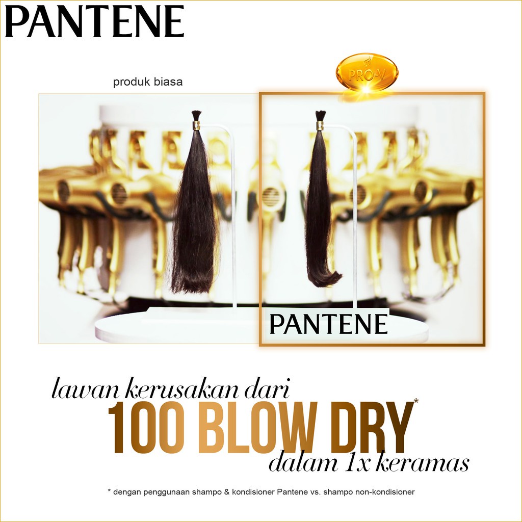 Paket Pantene Perawatan Total Untuk Rambut Rusak 130ml