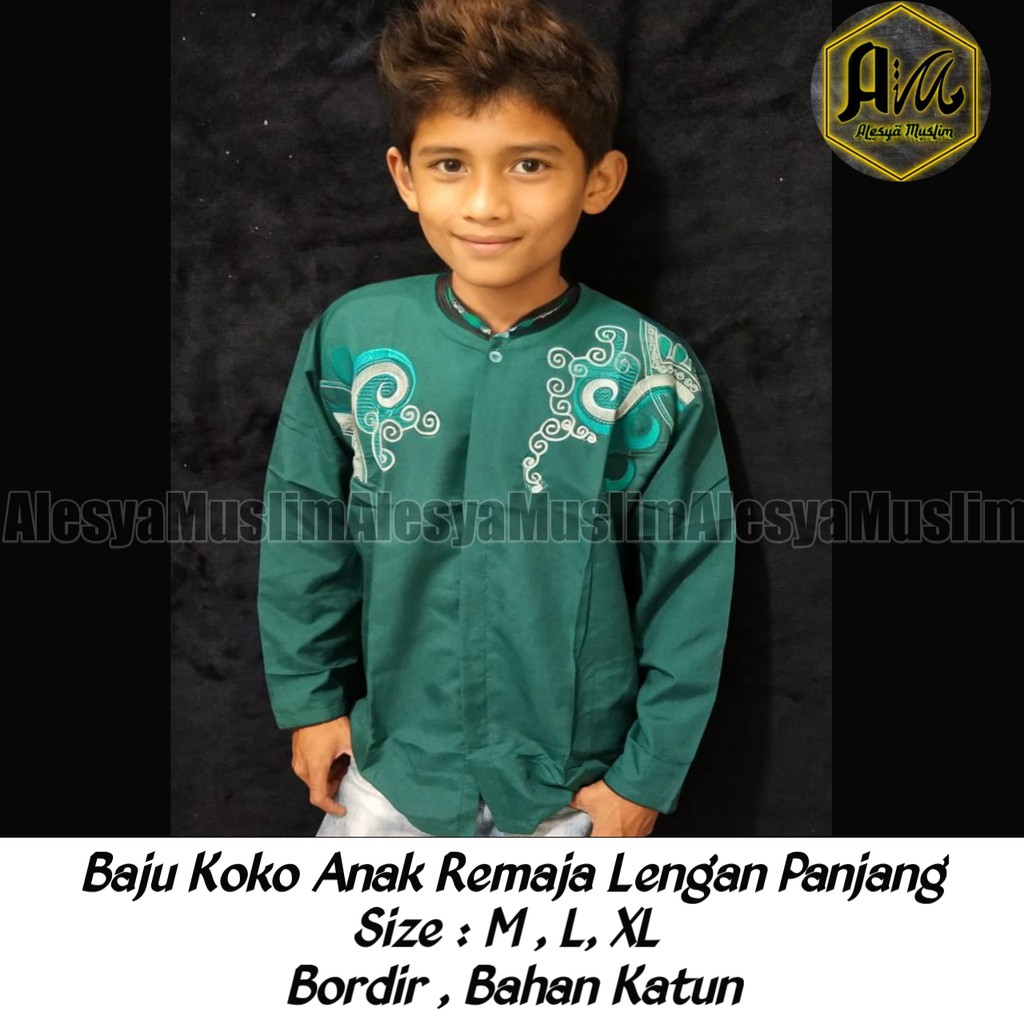 Baju Koko Warna Remaja Anak Tanggung Lengan Panjang Berbis/Harga Grosir/Best Seller/Bisa COD