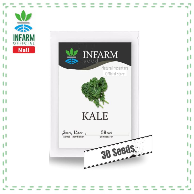 Benih Bibit Kale Infarm / Bibit Super / Benih Tanaman Sayuran / Benih sayuran / Benih biji sayuran