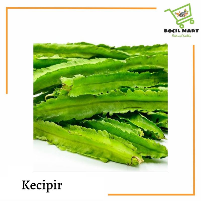 

[BOCIL MART] KECIPIR 1 IKAT