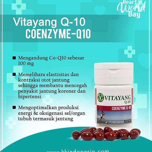 Vitayang Coenzyme Q 10 Indonesia