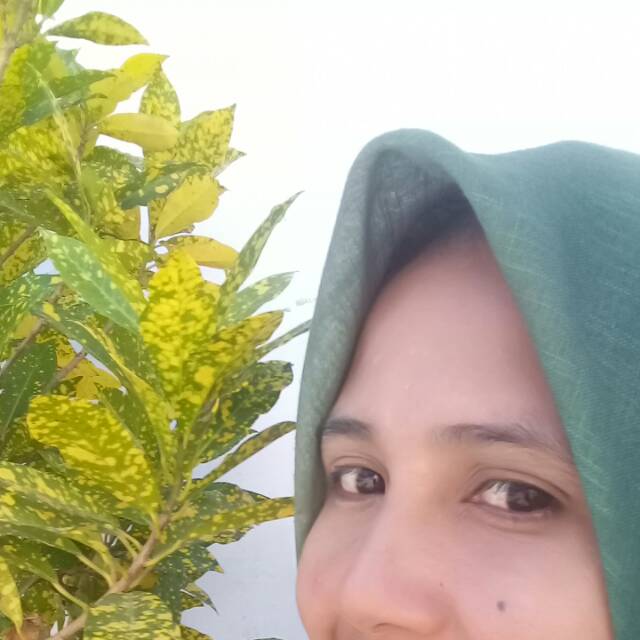 salmahnurhidah