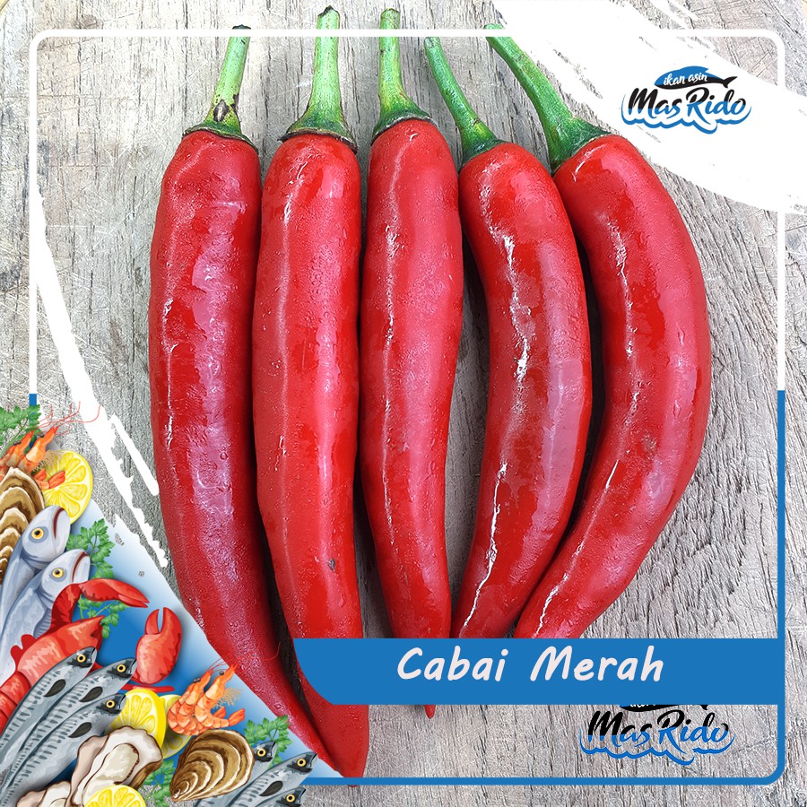 CABE MERAH BESAR / CABE MERAH / CABE MERAH BESAR KWALITAS PREMIUM