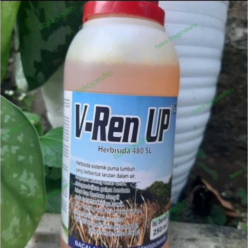 V Rent Up 250ml Herbisida 480 SL Pembasmi Rumput Liar