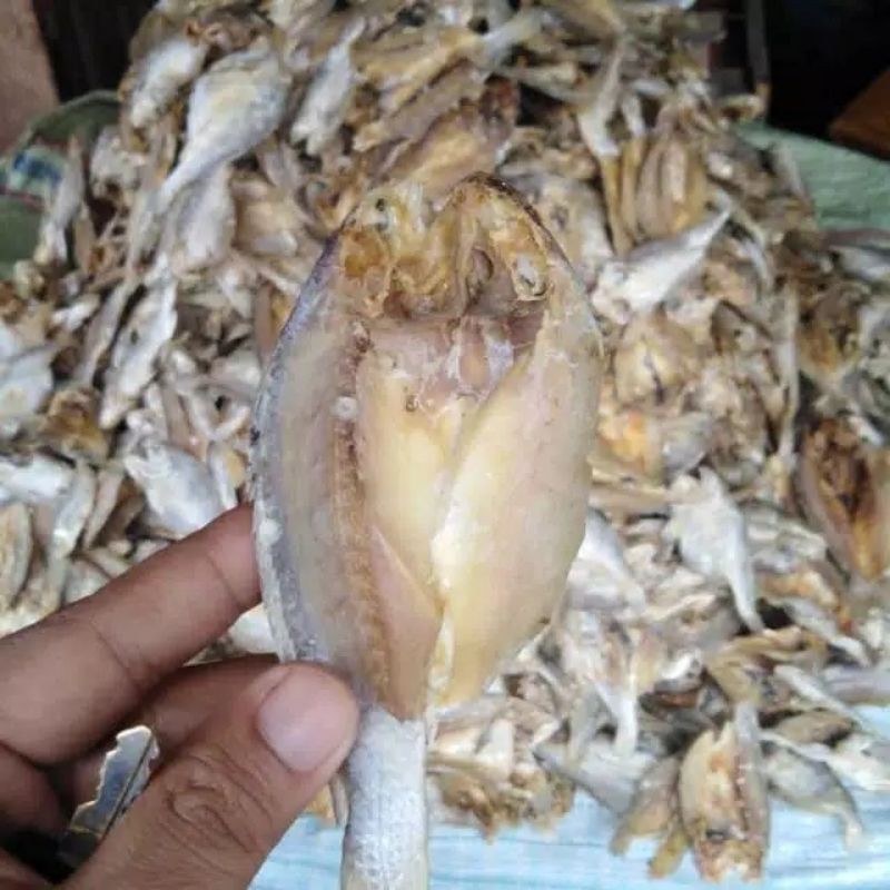 Jual Ikan Asin Belah Ikan Gulame Kepala Batu 500gr Shopee Indonesia