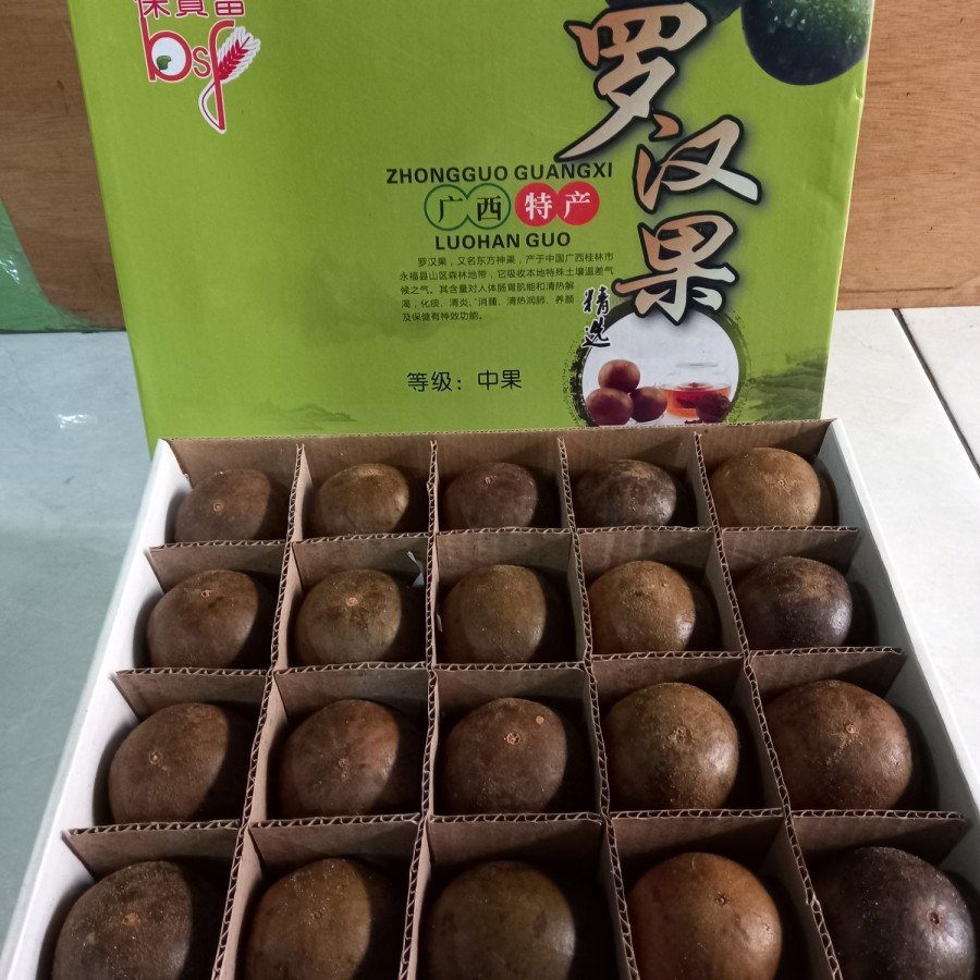 

HS Buah LO HAN KUO 6 pcs