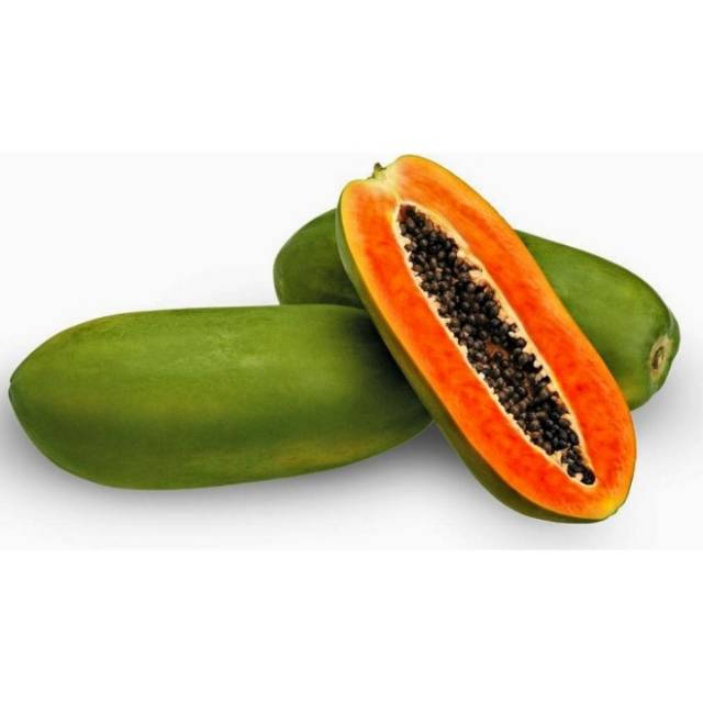 Bibit Pepaya California Super Berkwalitas