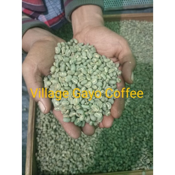 

GACO Greenbean Kualitas Export - 100% Arabica Gayo