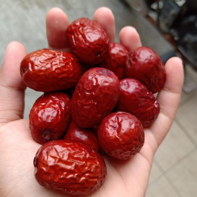 

PROMO Angco Manis / Kurma Merah China Kualitas Super A1- 500gr/KURMA 1KG/KURMA BARARI/KURMA RUTHOB/KURMA BAM/KURMA PALM FRUIT/KURMA TANGKAI/KURMA AZWA/KURMA SUKKARI/KURMA SAFAWI/KURMA TUNISIA/KURMA MUDA KUNING/KURMA MUDA HIJAU/KURMA MEDJOL/KURMA MADINAH