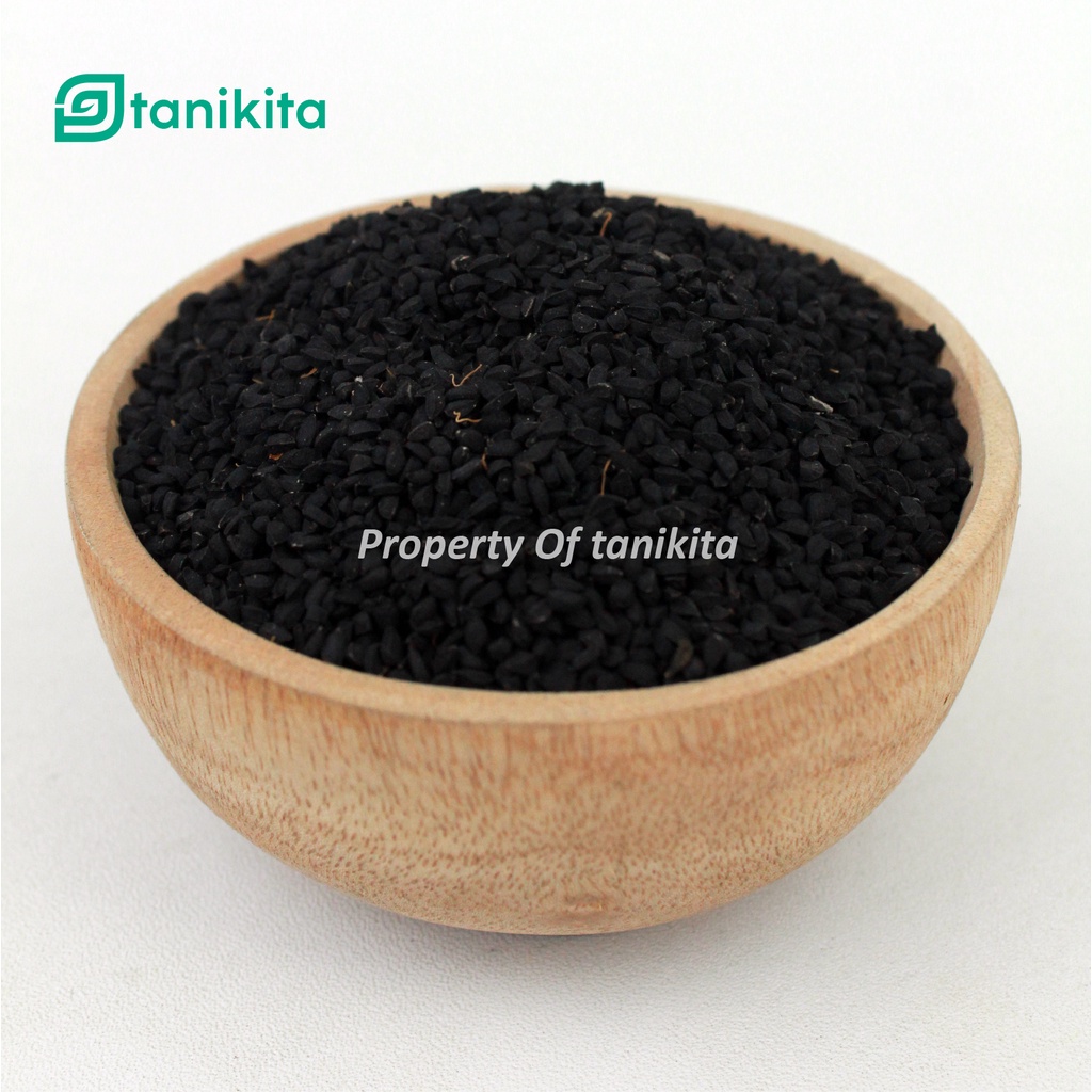 Biji Jinten Hitam Arab Asli 500gr Kualitas Bagus