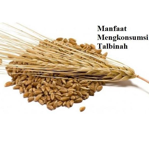 

-285 TALBINAH Kemasan Dus-400gr ORIGINAL 100% Pengganti Nasi/tepung ✧