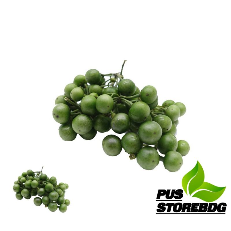 

Buah Lenca Segar 250 Gram